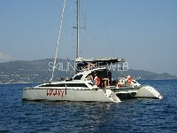 Lady Hawke 37