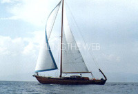 Motorsailer 16.62