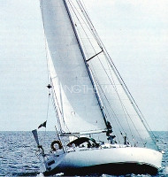 Moana 39