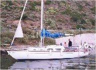 Atlante 28