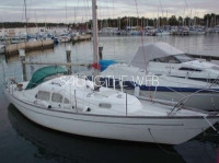 Kings Cruiser 29