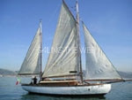 Shulter 10.80 - Ketch Aurico